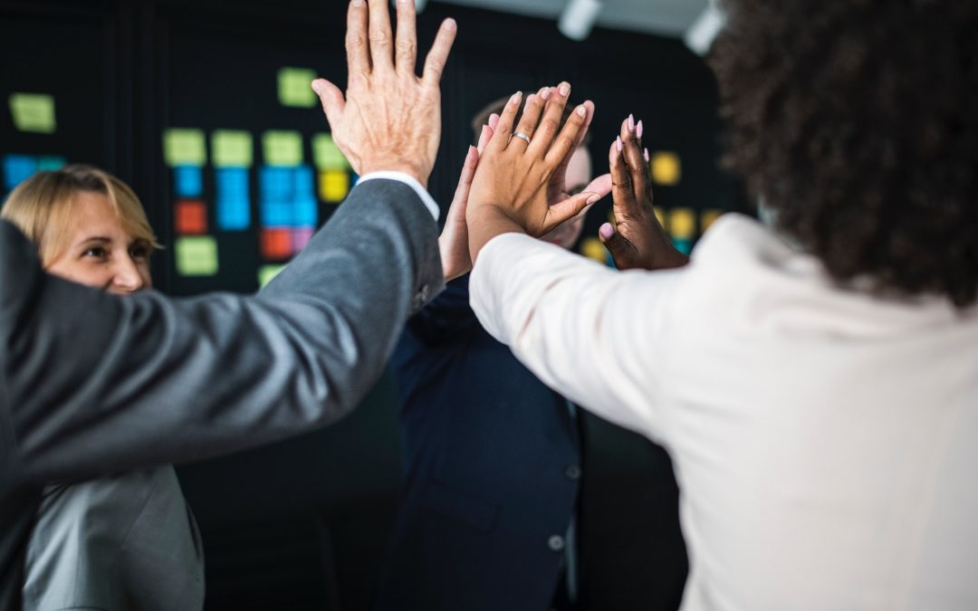 Maak van elk project een succes